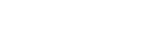 Logo brand-vision.pl